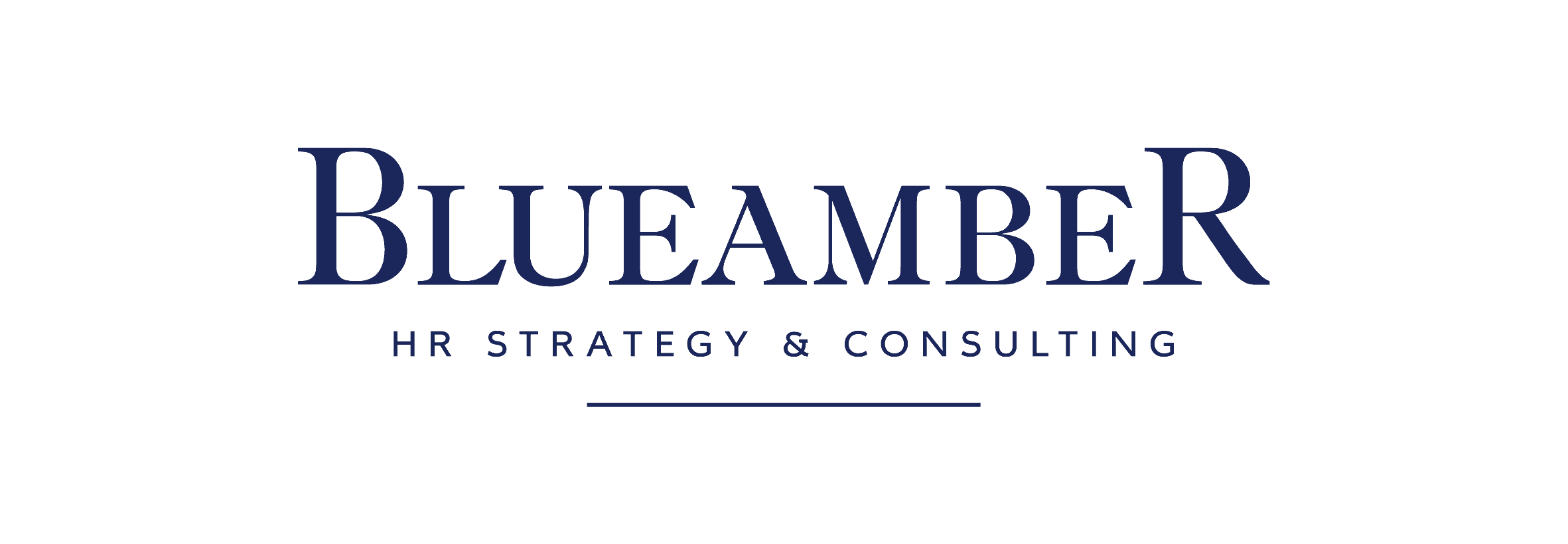 BLUEAMBER — HR Strategy & Consulting